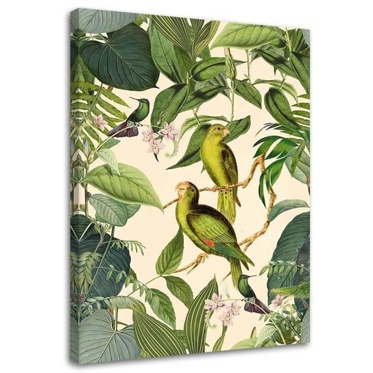 Feeby Obraz na płótnie, FEEBY Tropikalne ptaki w dżungli - Andrea Haase 80x120 Feeby