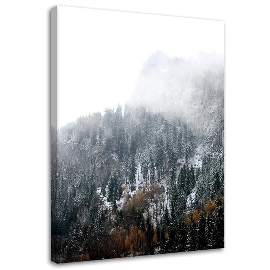 Feeby Obraz na płótnie Zaśnieżone góry - Dmitry Belov 80x120 Feeby