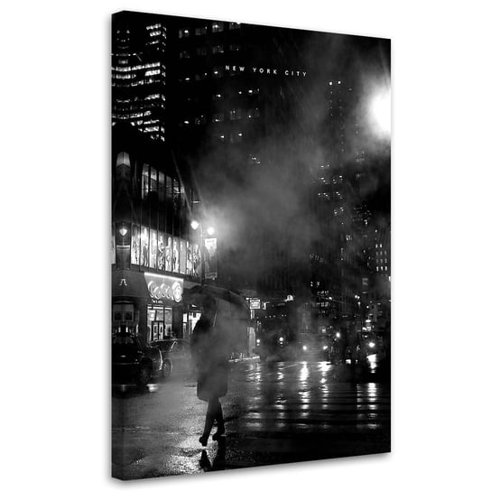 Feeby Obraz Nowy Jork we mgle - Nikita Abakumov 40x60 Feeby