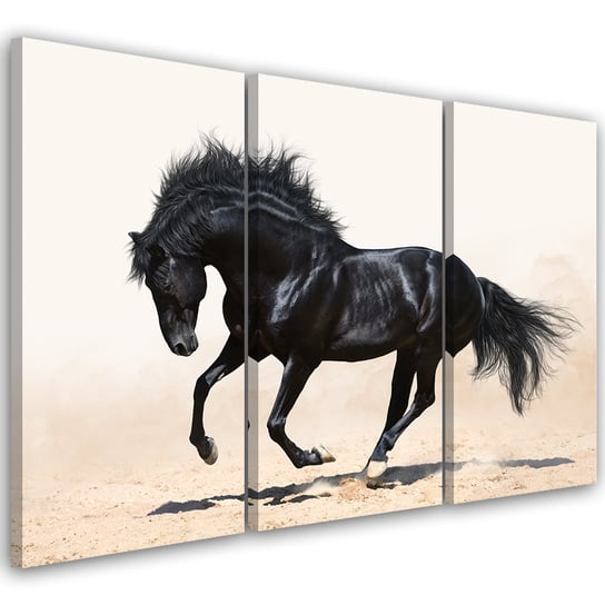 Feeby Obraz trzyczęściowy na płótnie, FEEBY Czarny Koń Galop 150x100 Feeby