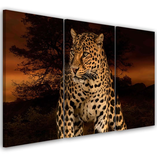 Feeby Obraz trzyczęściowy na płótnie, FEEBY Lampart Pantera Kot Safari 150x100 Feeby