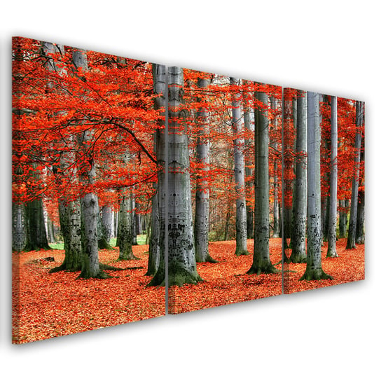Feeby Obraz trzyczęściowy na płótnie, FEEBY Las Czerwony Jesień Natura 150x100 Feeby