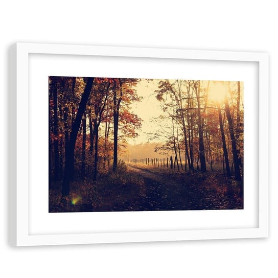 Feeby, Obraz w ramie białej, Droga polna przy lesie, 60x40 cm Feeby