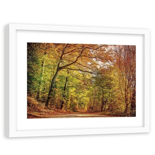Feeby, Obraz w ramie białej, Droga w lesie jesienią, 120x80 cm Feeby