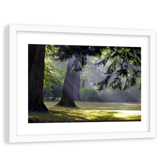 Feeby, Obraz w ramie białej, Drzewa w parku, 60x40 cm Feeby