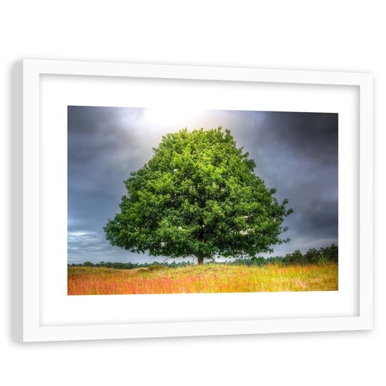 Feeby, Obraz w ramie białej, Drzewo przed burzą, 60x40 cm Feeby