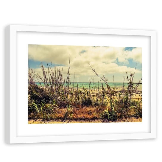 Feeby, Obraz w ramie białej, Trawy nad błękitnym morzem, 60x40 cm Feeby