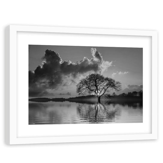 Feeby, Obraz w ramie białej, Widok na drzewo o zachodzie 2, 120x80 cm Feeby