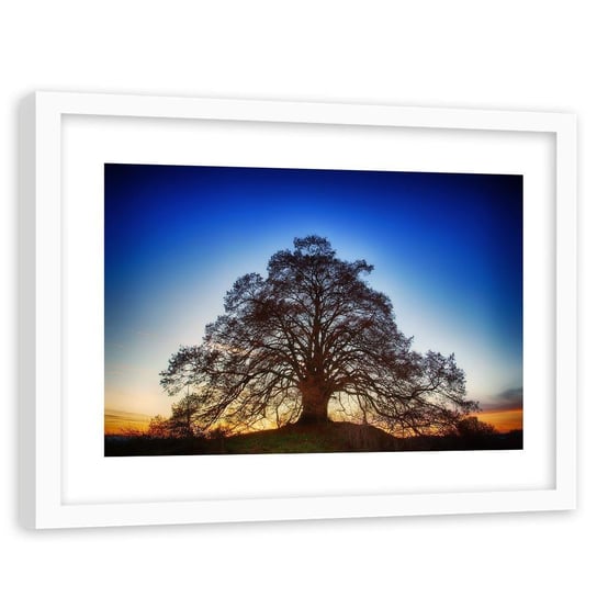 Feeby, Obraz w ramie białej, Wielkie drzewo o zmroku, 120x80 cm Feeby