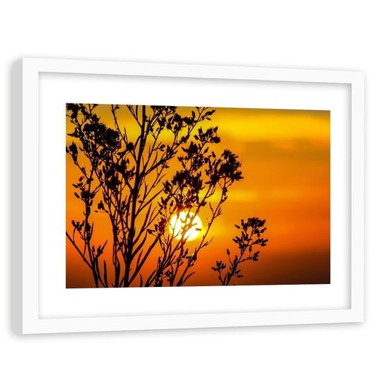 Feeby, Obraz w ramie białej, Zachód słońca za rośliną, 120x80 cm Feeby