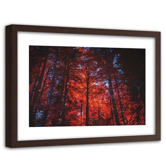 Feeby, Obraz w ramie brązowej, Las w świetle zachodzącego słońca, 60x40 cm Feeby