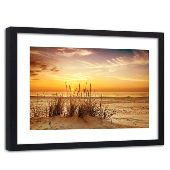 Feeby, Obraz w ramie czarnej, Trawy na plaży 3, 60x40 cm Feeby