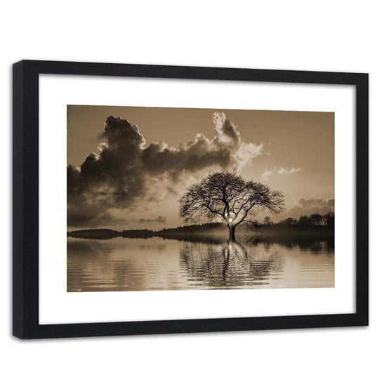 Feeby, Obraz w ramie czarnej, Widok na drzewo o zachodzie 1, 90x60 cm Feeby