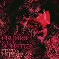 Feed the Fire Promise And The Monster