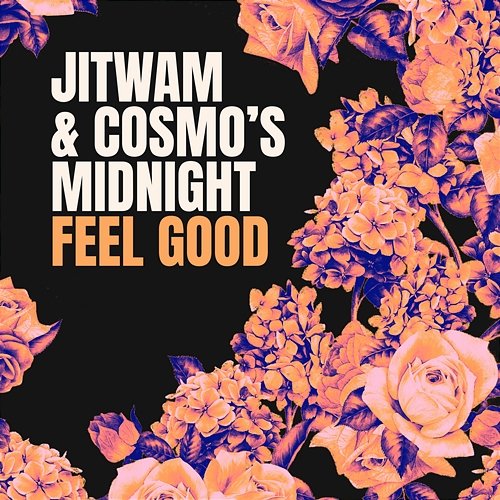 Feel Good Jitwam & Cosmo's Midnight