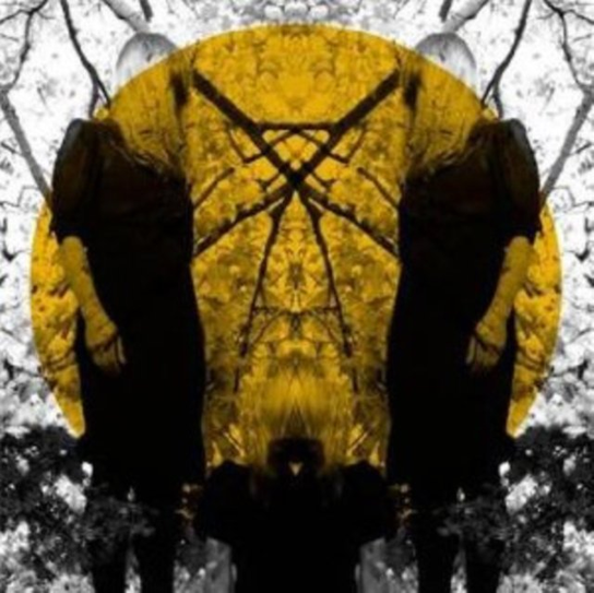 Feel It Break Austra