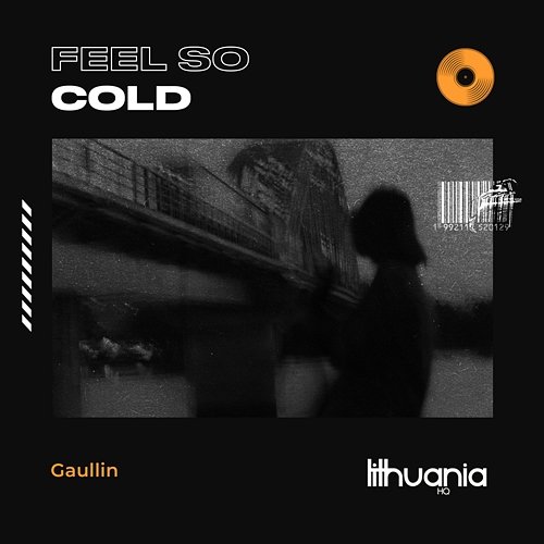 Feel so Cold Gaullin
