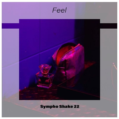 Feel Sympho Shake 22 Various Artists