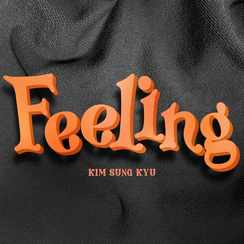 Feeling Kim Sung Kyu