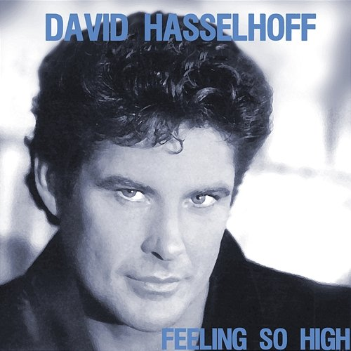 Feeling so High David Hasselhoff