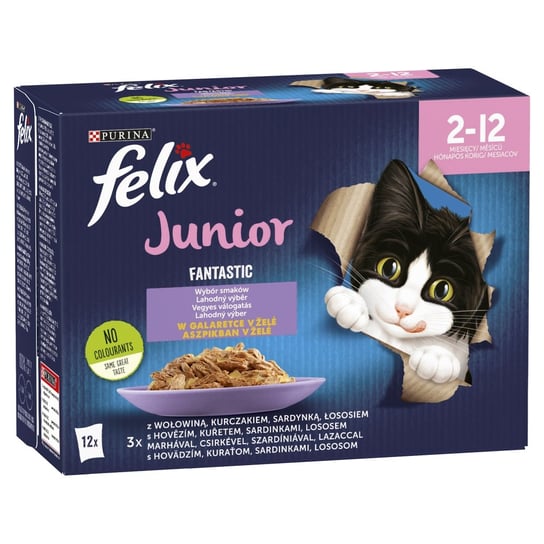 Felix Fantastic Junior w galaretce;12x85g Felix