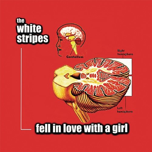 Fell in Love with a Girl The White Stripes