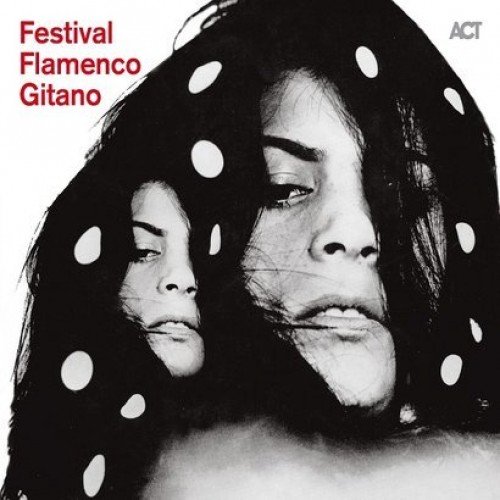 Festival Flamenco Gitano Various Artists
