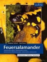 Feuersalamander Schorn Stefan, Kwet Axel