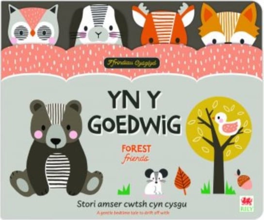 Ffrindiau Cysglyd: yn y Goedwig / Sleepyheads: Forest Friends Cooke Elizabeth
