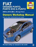 Fiat Grande Punto, Punto Evo & Punto. 2006 to 2015 (55 to 15 reg) Petrol Randall Martynn