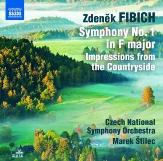 Fibich: Symphony No. 1 Various Artists