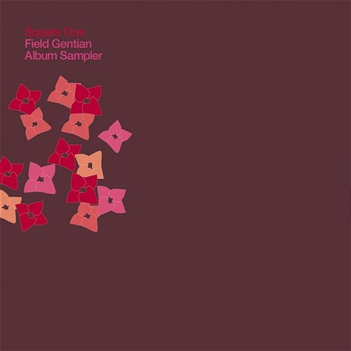Field Gentian Album Sampler Square One