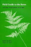 Field Guide to the Ferns: And Other Pteridophytes of Georgia Snyder Lloyd, James Bruce