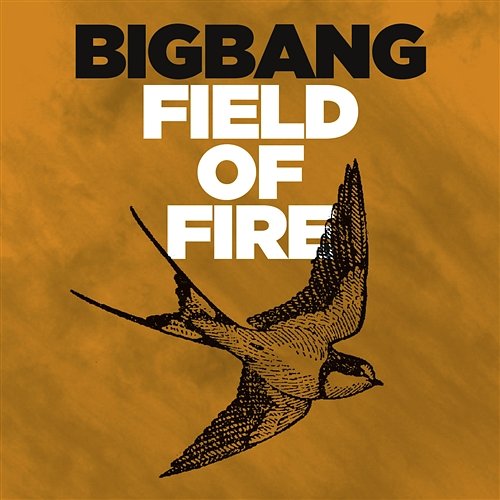 Field Of Fire Bigbang