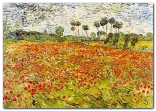 Field Of Poppies plakat obraz 70x50cm Wizard+Genius