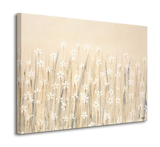 Field Of Starry White Flowers - obraz na płótnie Pyramid International