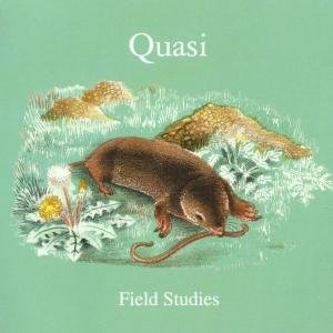 Field Studies Quasi