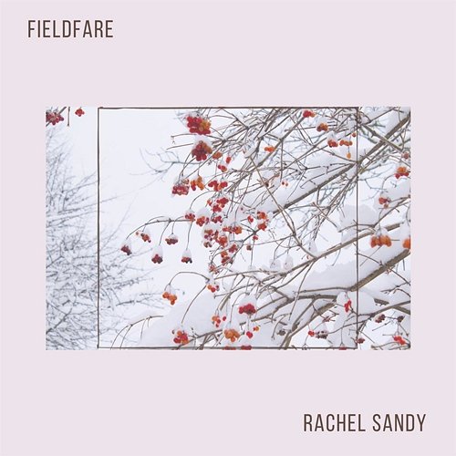Fieldfare Rachel Sandy