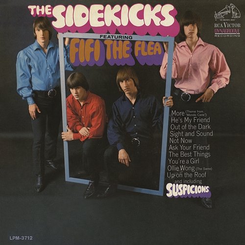 Fifi the Flea The Sidekicks