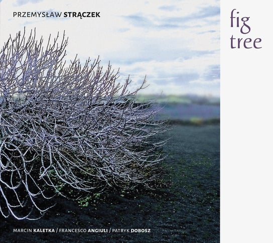 Fig Tree Przemysław Strączek Quartet