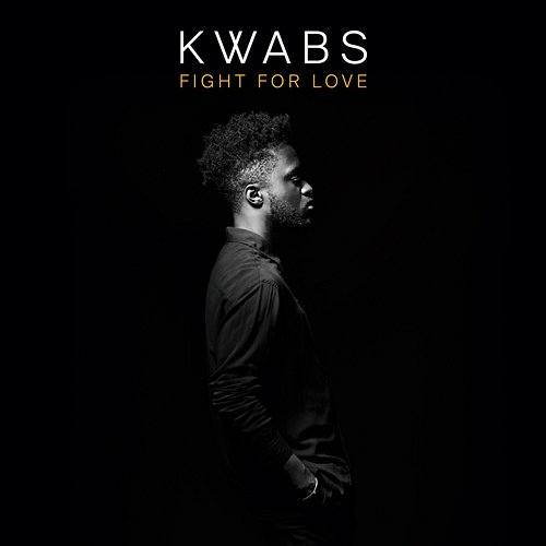 Fight For Love Kwabs