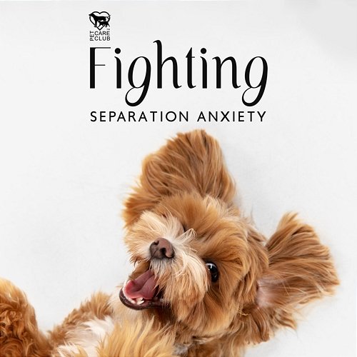 Fighting Separation Anxiety: White Noise for Dogs and Cats, Pet Wellbeing, Calm Pets Music, Pet Relax Pet Care Club