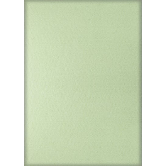 Filc pastelowy do dekoracji 5 ark Titanum 20x30 cm Pastelowy zielony  - 676 Titanum