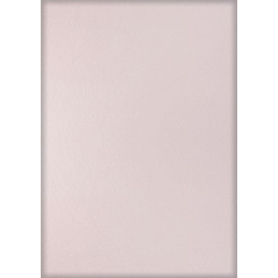 Filc pastelowy do dekoracji 5 ark Titanum 20x30 cm Różowy jasny - 674 Titanum