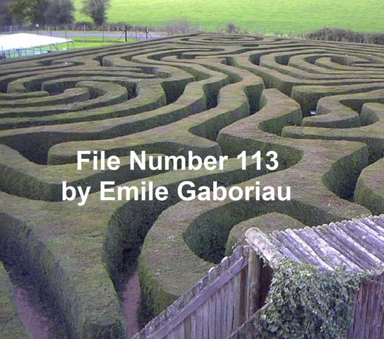 File No. 113 Emile Gaboriau