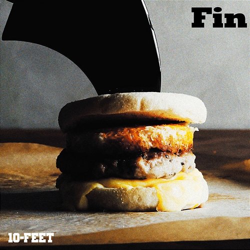 Fin 10-FEET