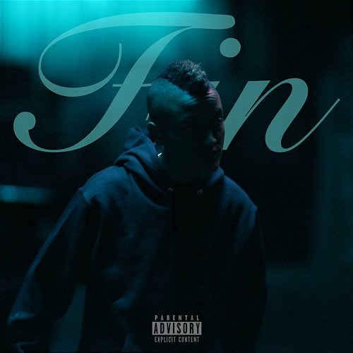 Fin Syd