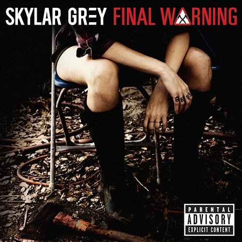 Final Warning Skylar Grey