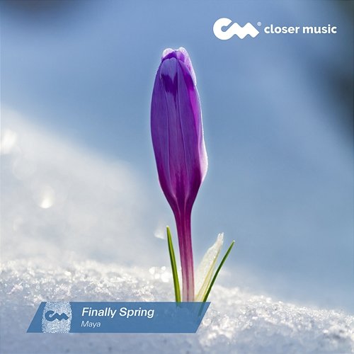 Finally Spring Maya