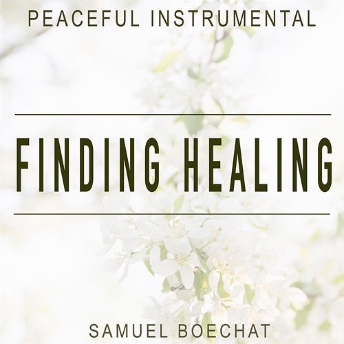 Finding Healing Samuel Boechat
